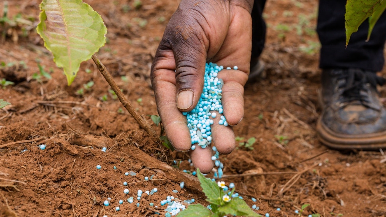 pexels-antony-trivet-12626272