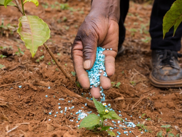 pexels-antony-trivet-12626272