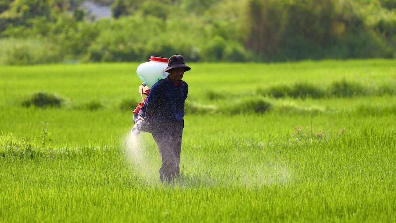 pexels-balazs-simon-6874481