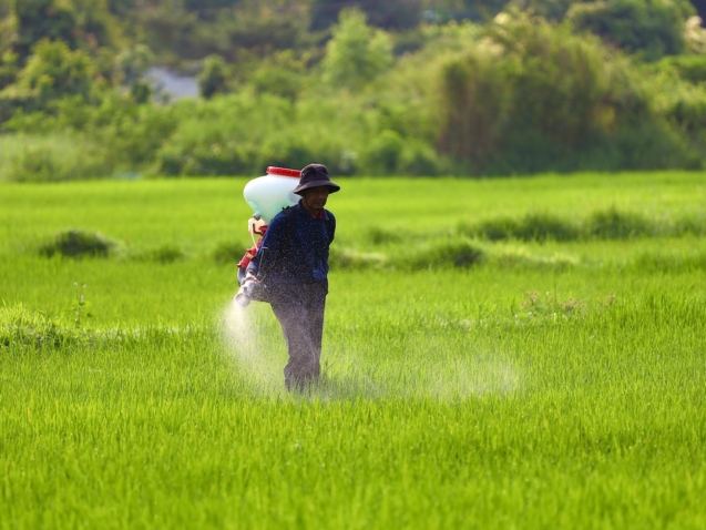 pexels-balazs-simon-6874481