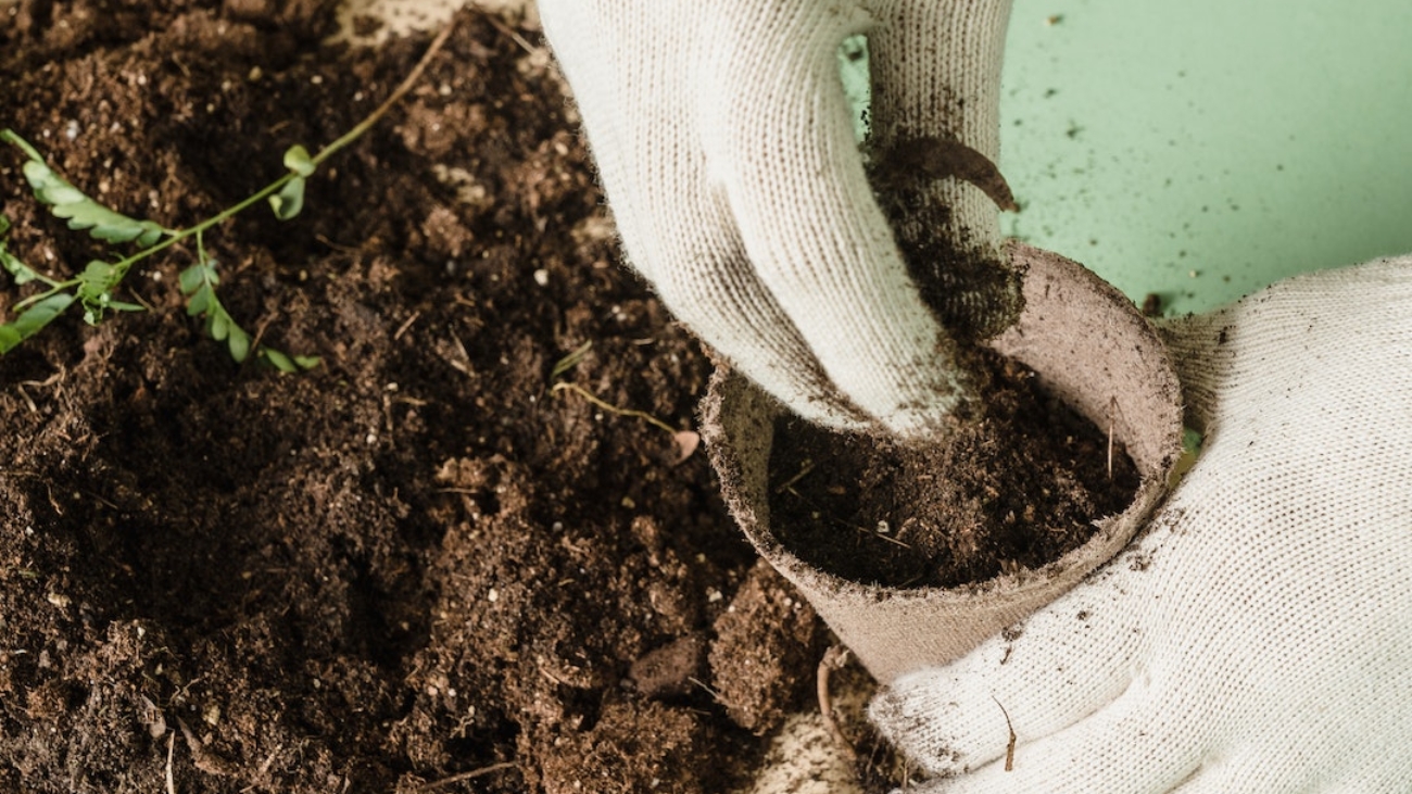 pexels-lara-jameson-9324368