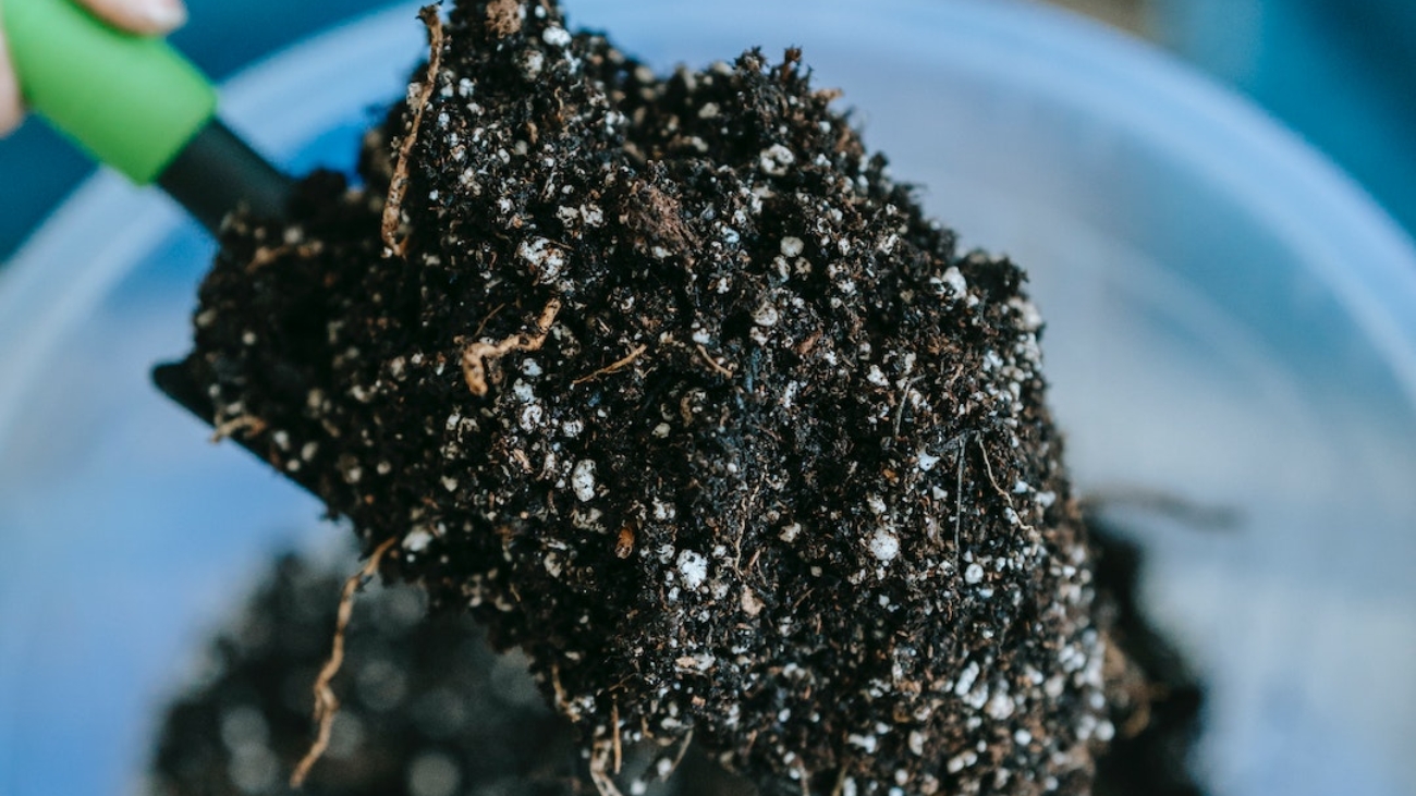 pexels-teona-swift-6913399