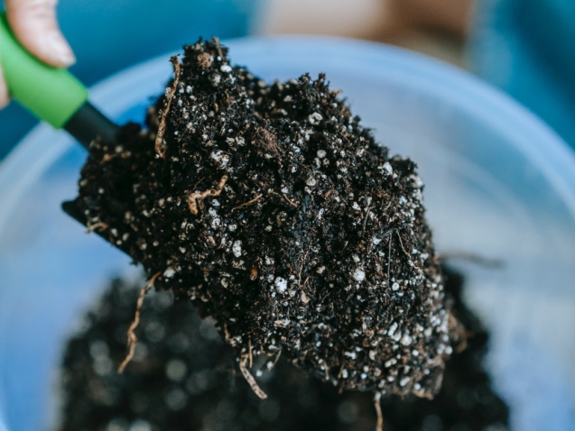 pexels-teona-swift-6913399