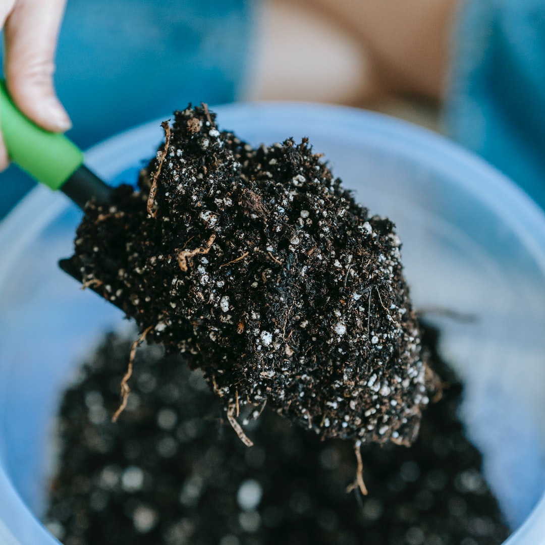 pexels-teona-swift-6913399